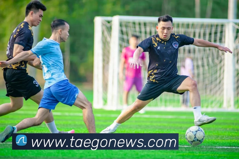 全球热力图
